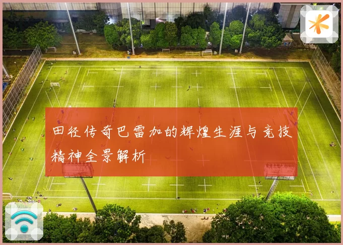 田径传奇巴雷加的辉煌生涯与竞技精神全景解析