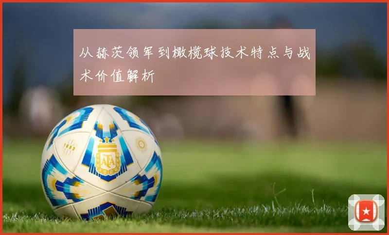从赫茨领军到橄榄球技术特点与战术价值解析