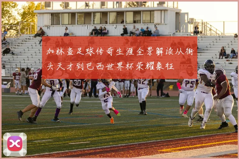 加林查足球传奇生涯全景解读从街头天才到巴西世界杯荣耀象征