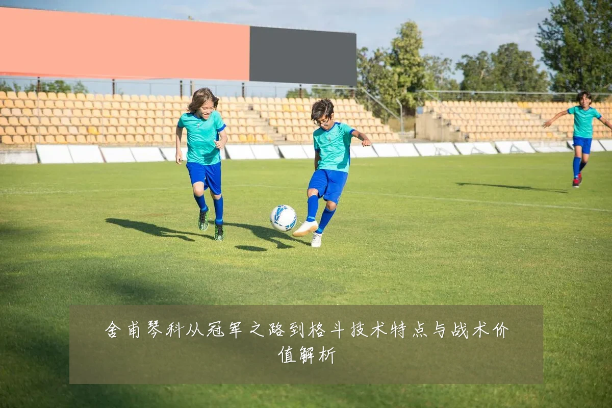 舍甫琴科从冠军之路到格斗技术特点与战术价值解析
